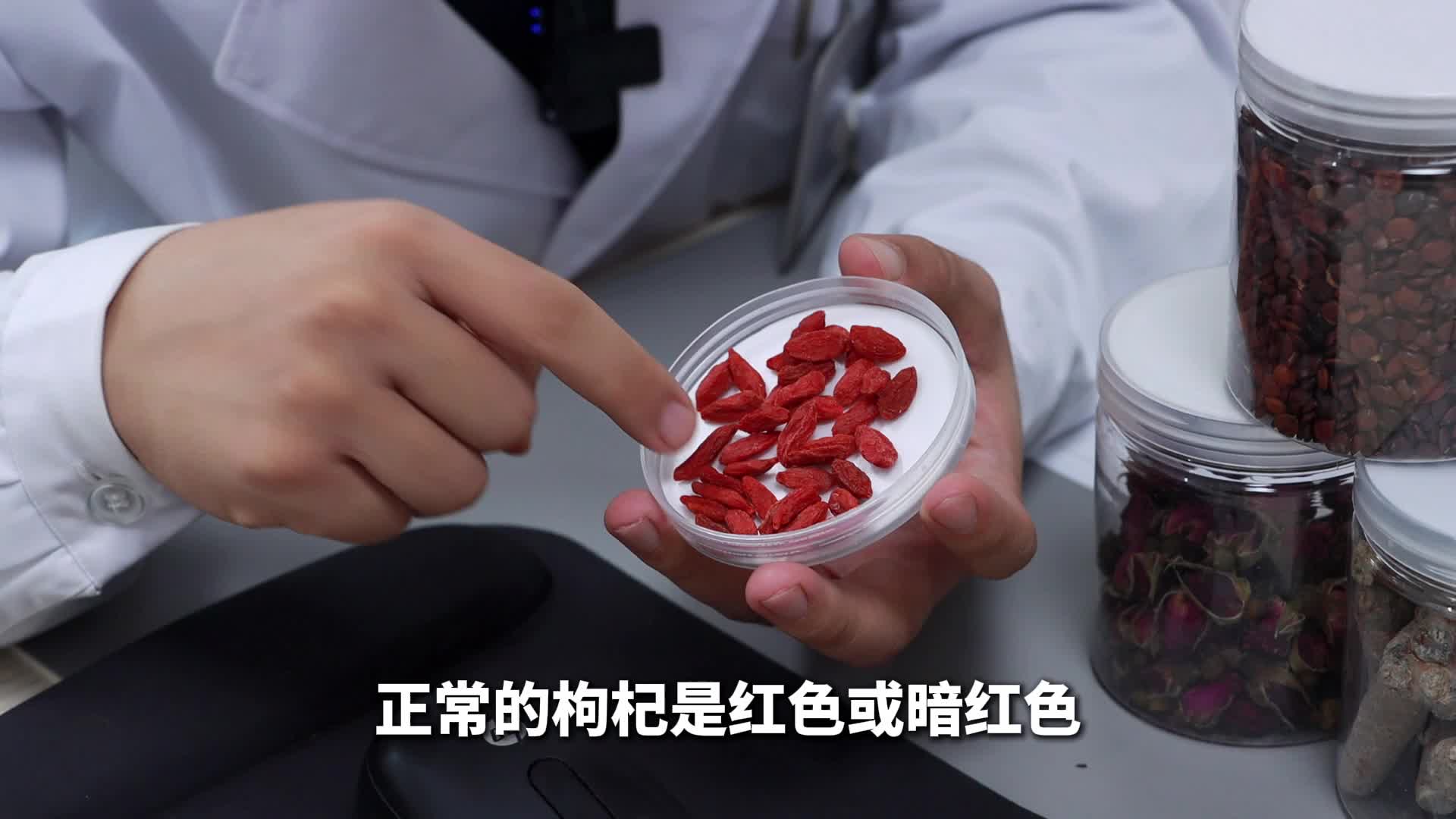 草本笑缘第二十五期如何分辨毒枸杞