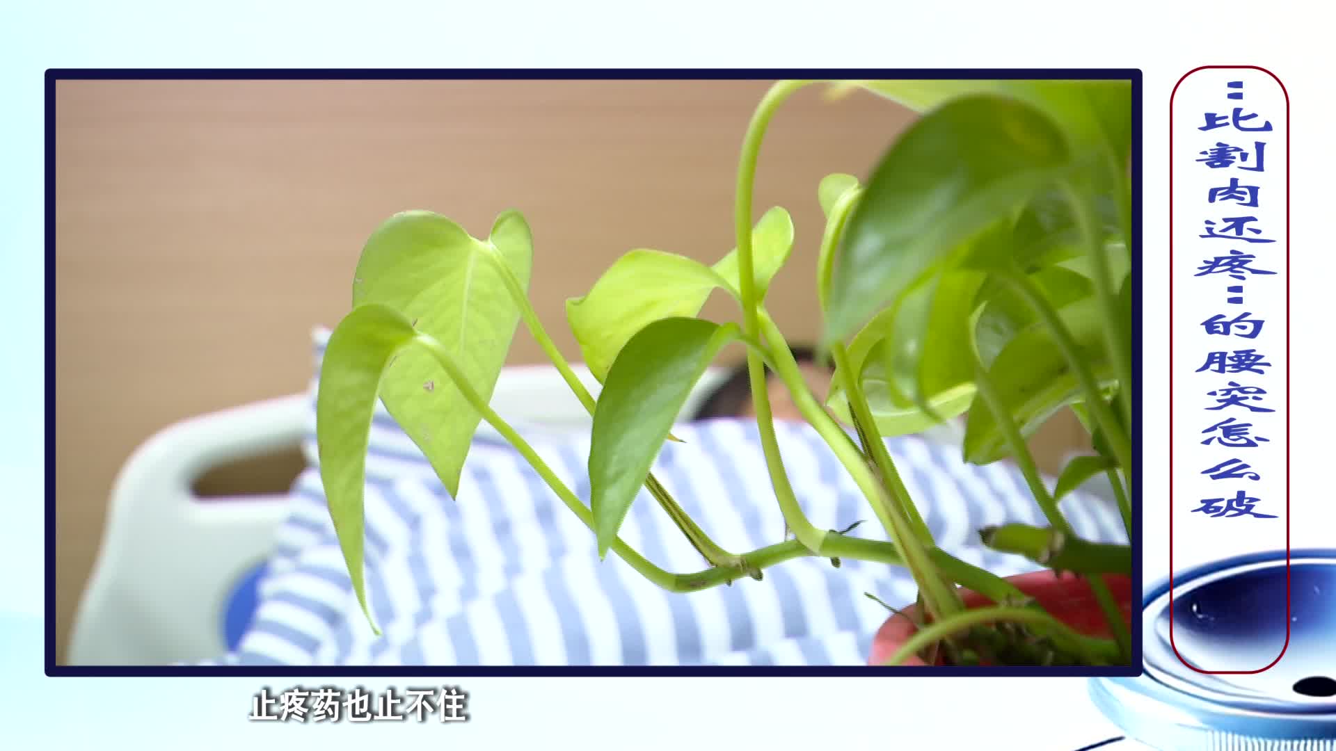 《第1健康》第311期：腰像捆上“紧箍咒”，痛不欲生的腰突怎么破？