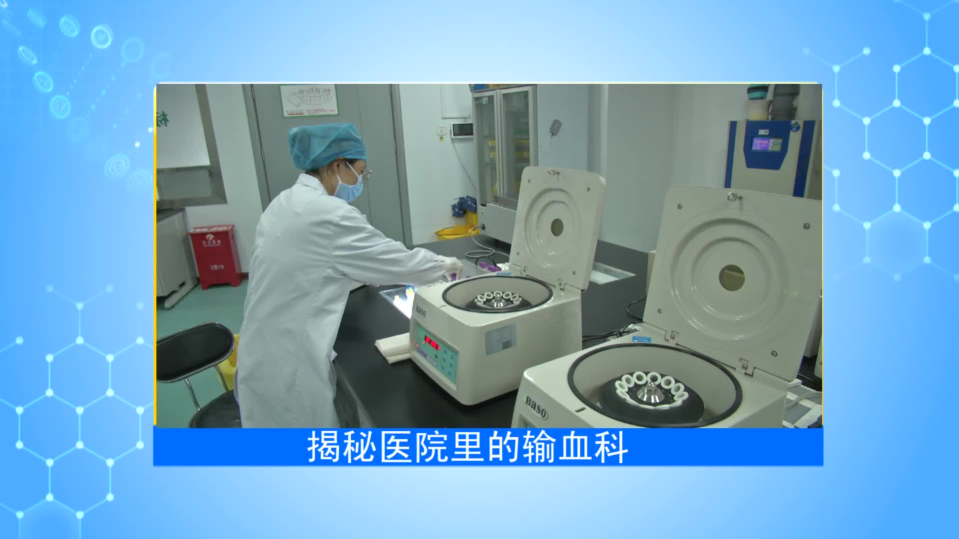 《第1健康》第97期：血液的“大管家”，生命的守护者