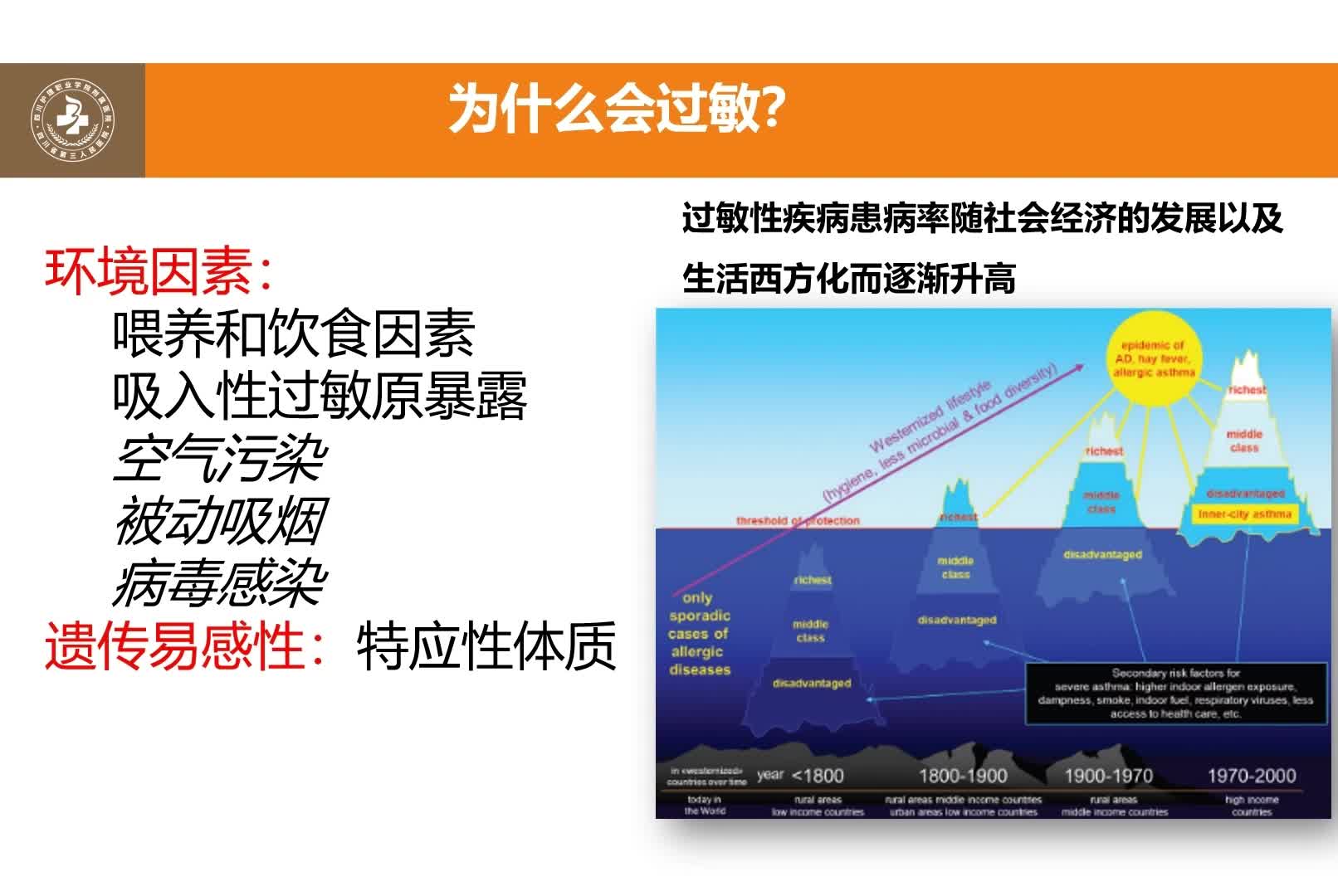 聚焦过敏防护