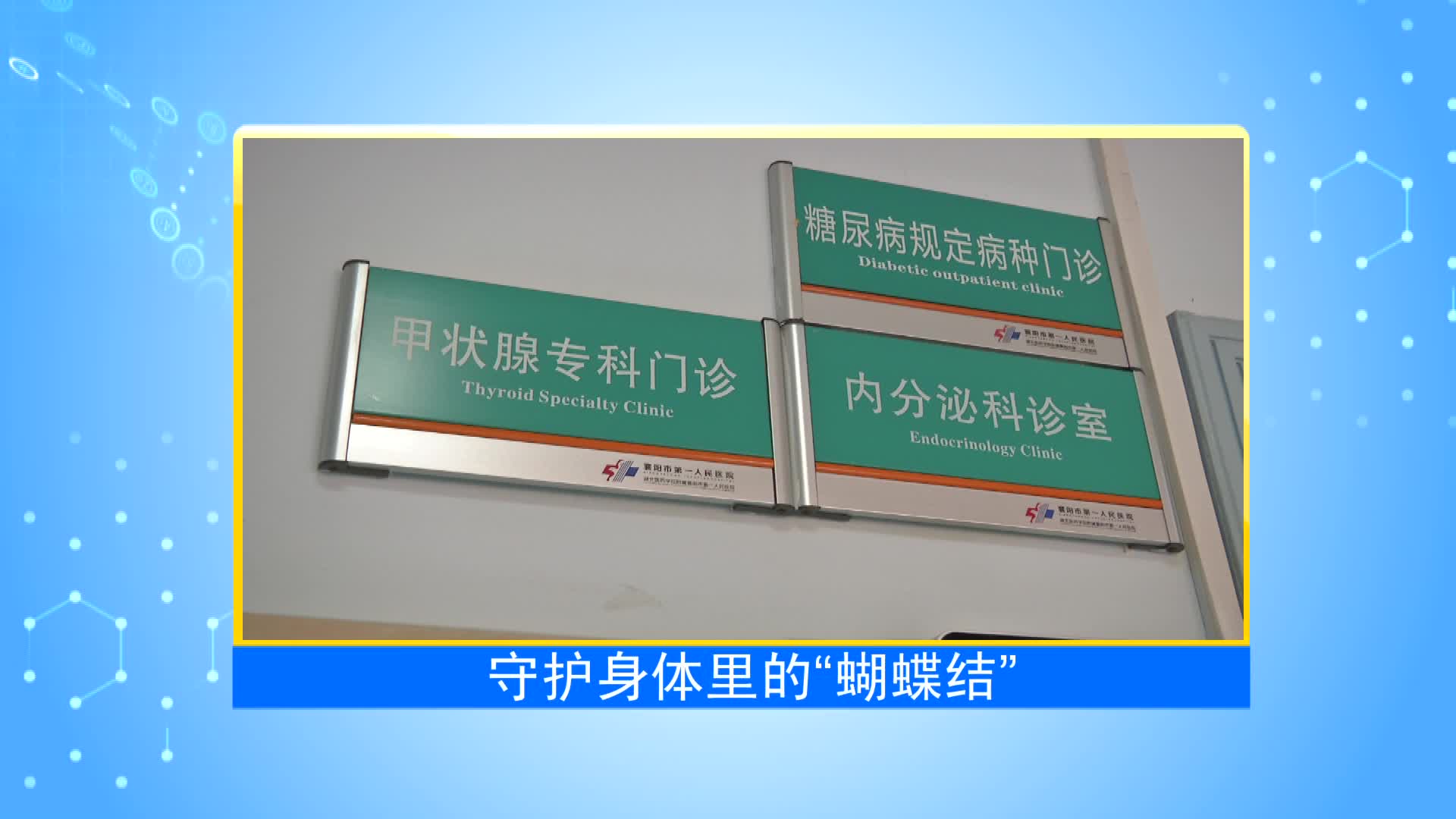 《第1健康》第40期：守护身体里的“小蝴蝶”