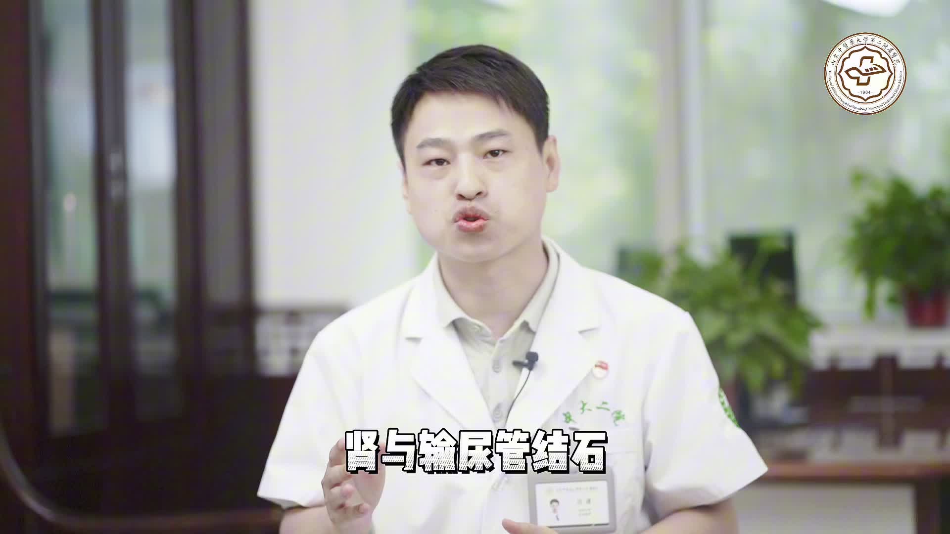 山东中医药大学第二附属医院系列科普视频—泌尿系结石