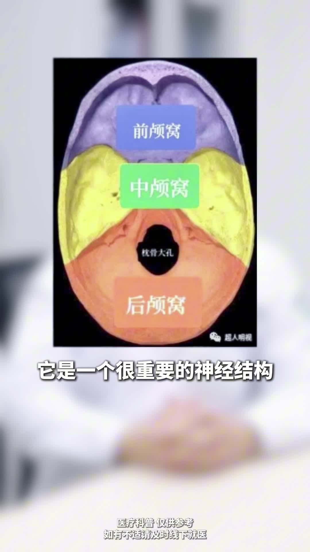 女性戴鲨鱼夹有多危险