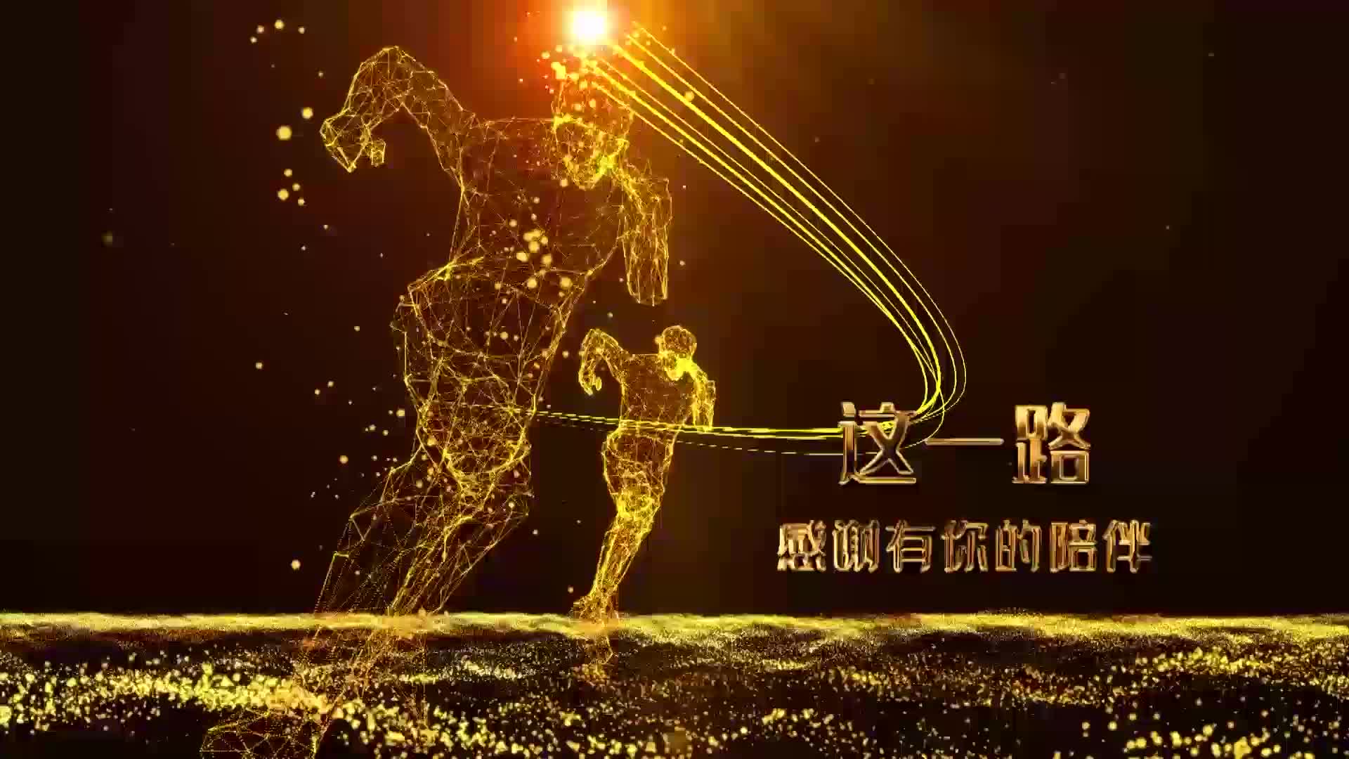2019年度工作总结