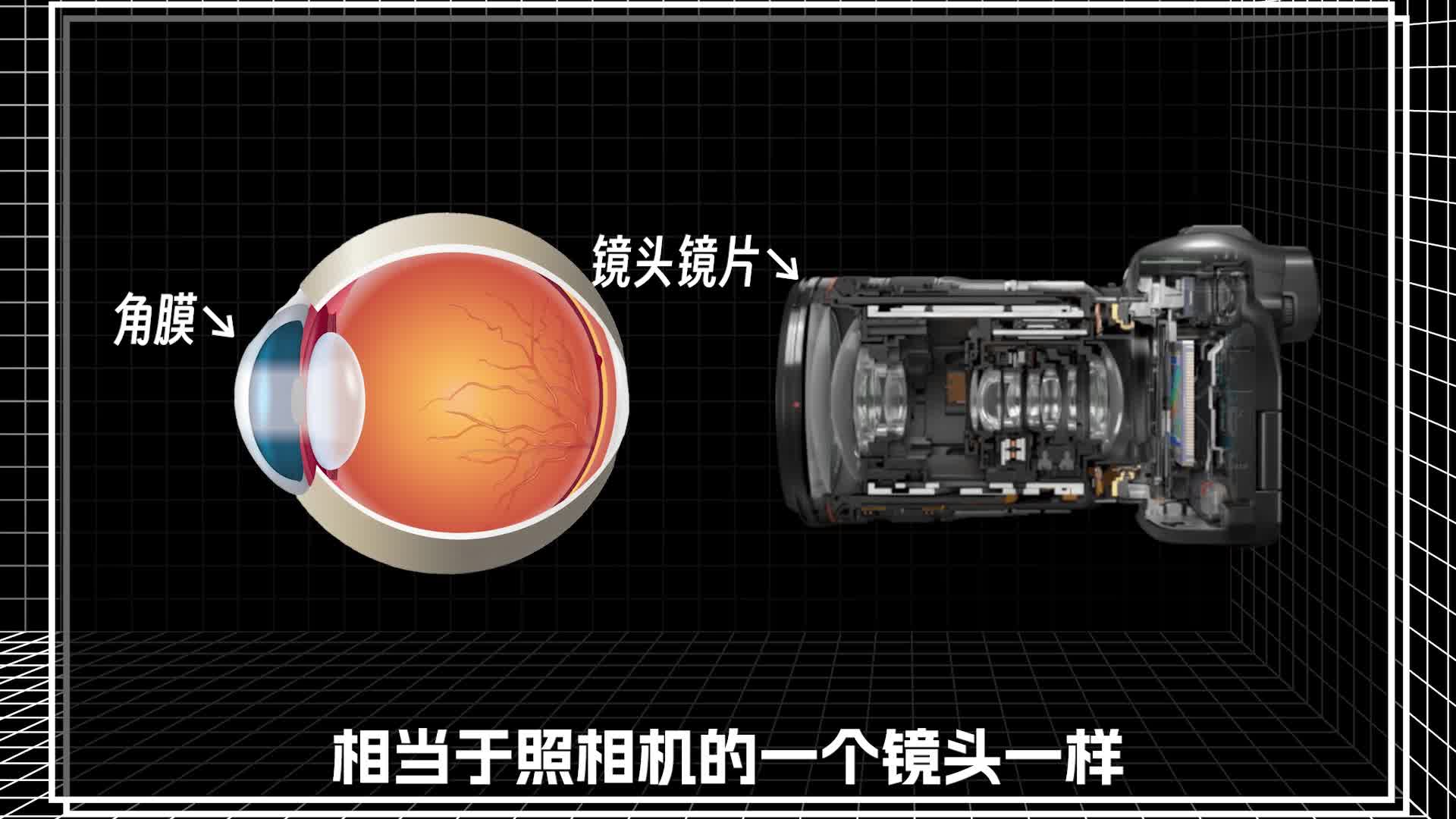 专家解读近视手术安全性