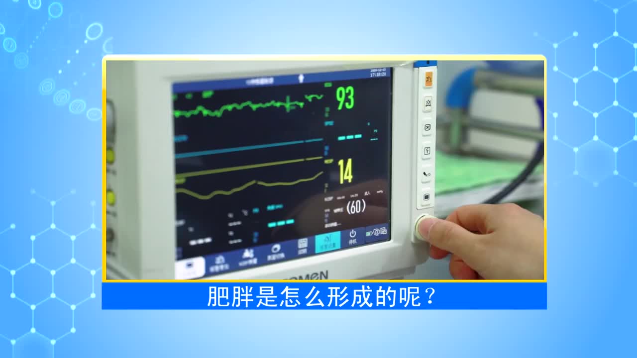 《第1健康》第4期：肥胖究竟是不是病？该如何自测和科学减重